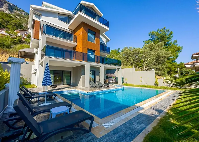 Goecek Marin B 4+1 Villa, Oezel Havuzlu